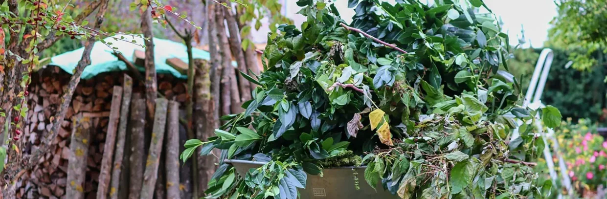 Grünschnitt lagert in einer Schubkarre im Garten