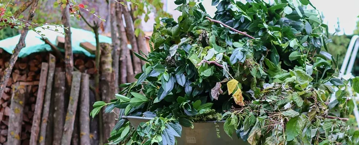 Grünschnitt lagert in einer Schubkarre im Garten